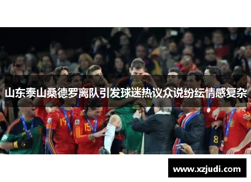 山东泰山桑德罗离队引发球迷热议众说纷纭情感复杂