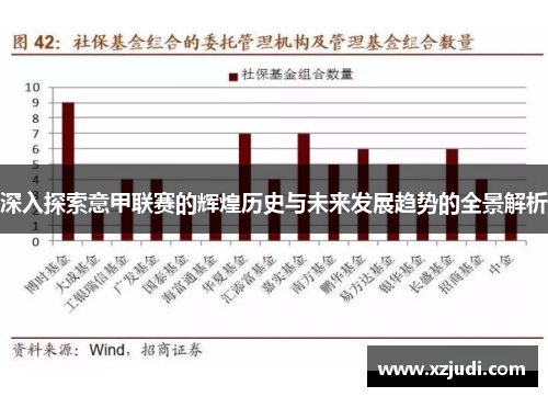 深入探索意甲联赛的辉煌历史与未来发展趋势的全景解析