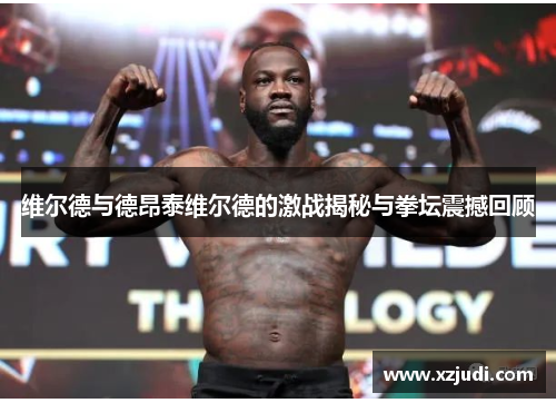 维尔德与德昂泰维尔德的激战揭秘与拳坛震撼回顾